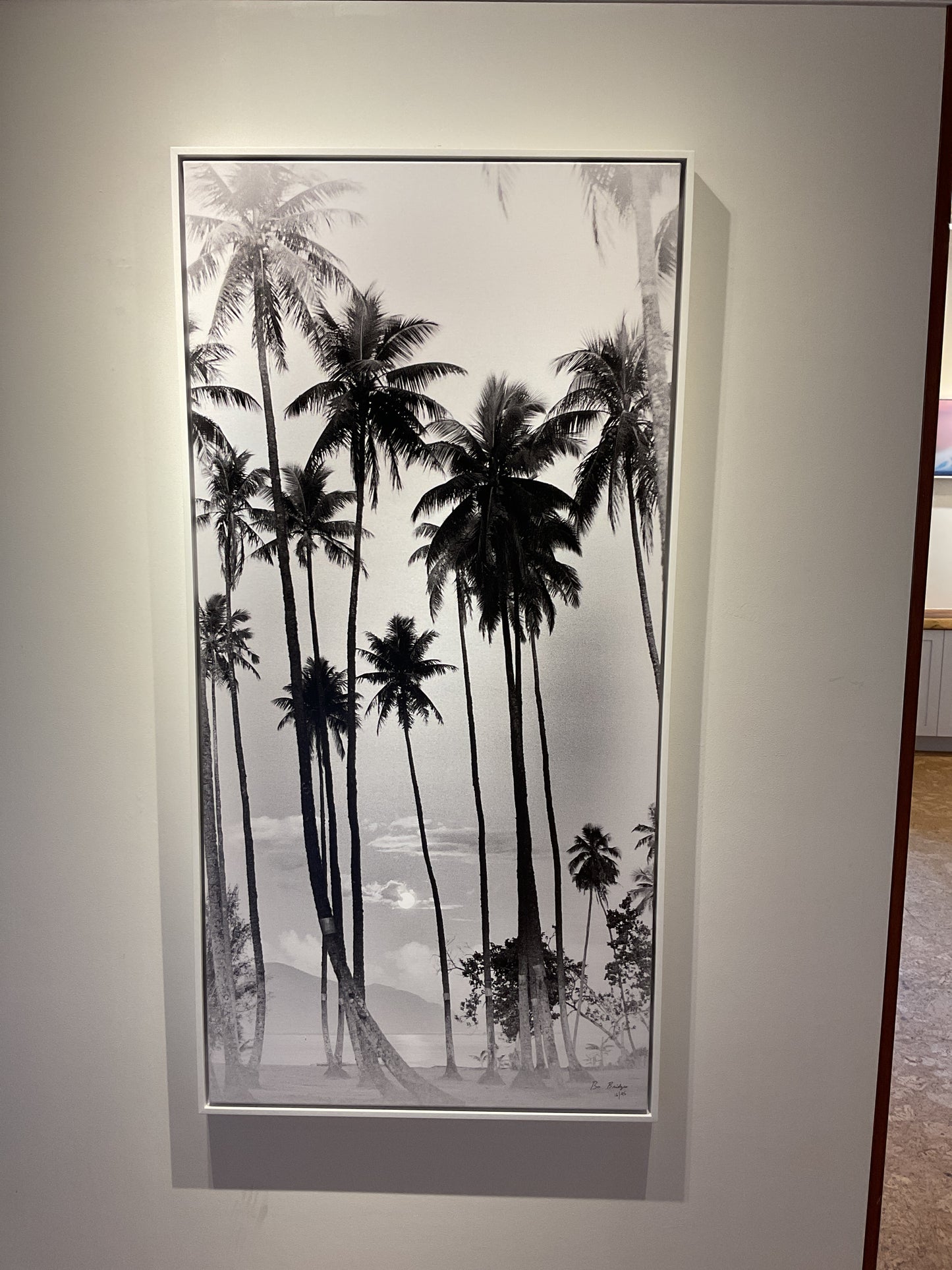 60”x 30” Framed Canvas