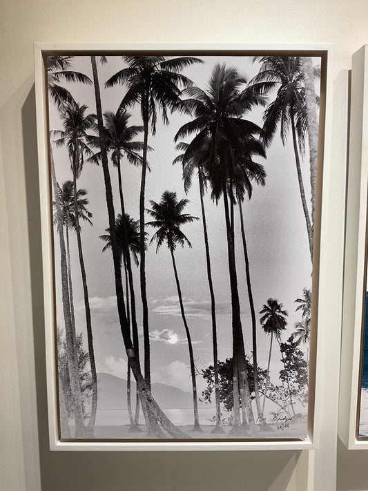 18”x 26” Framed Dibond