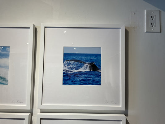 16”x16” Framed Tile