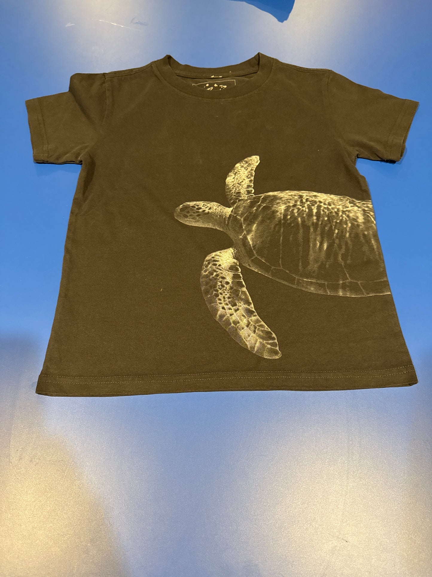Kids Black Turtle Shirt