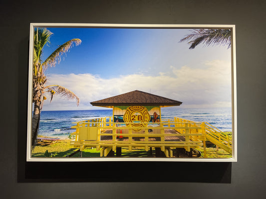 24x 36” Framed Dibond