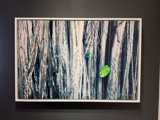 24”x36” Woodland Framed Dibond