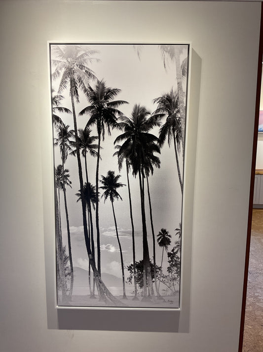60”x 30” Framed Canvas