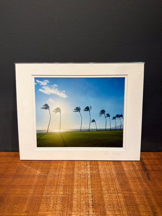“Palm Trees” Matte Print