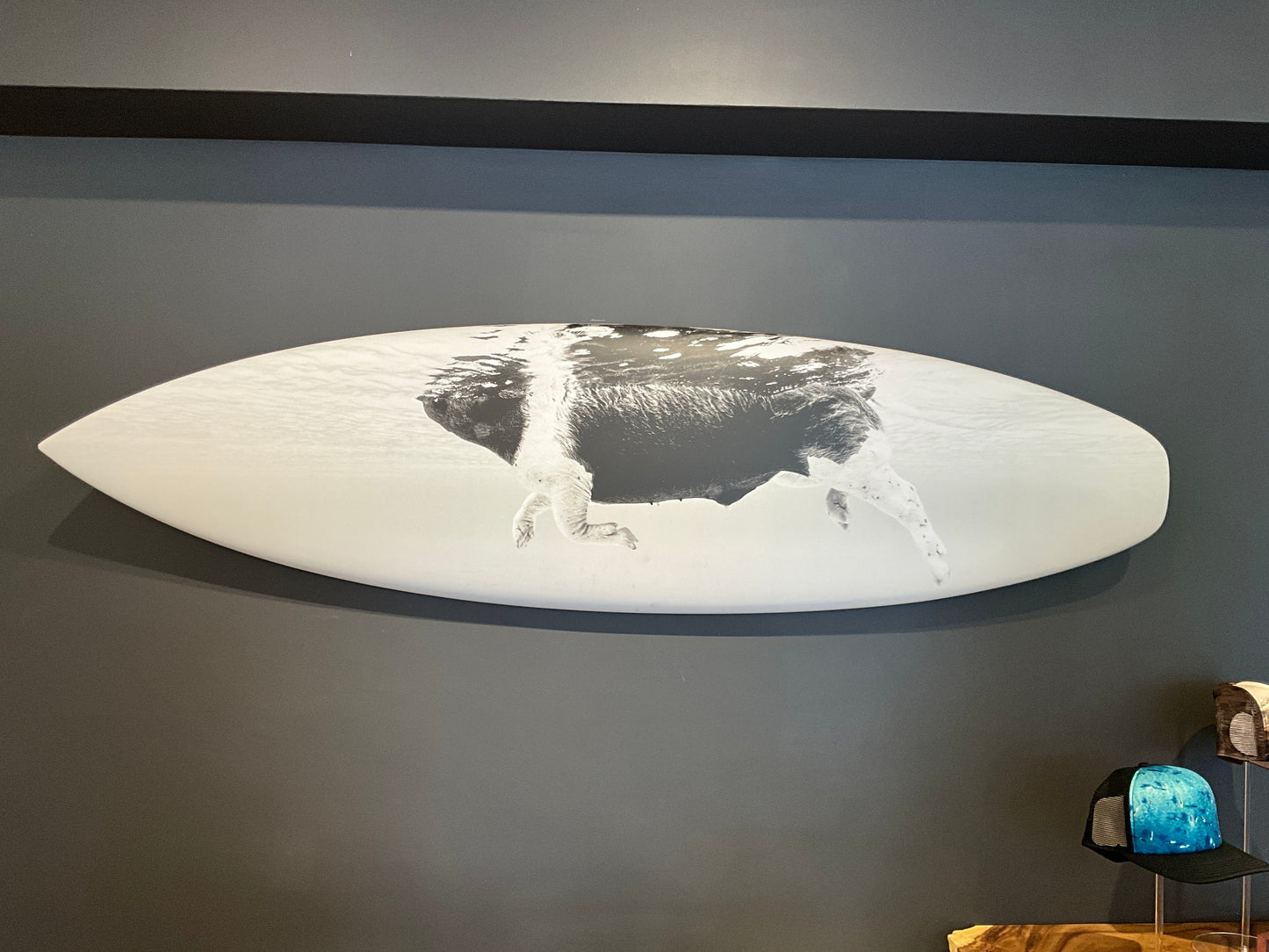 Surfboard (Swimming Pig 6’2”)