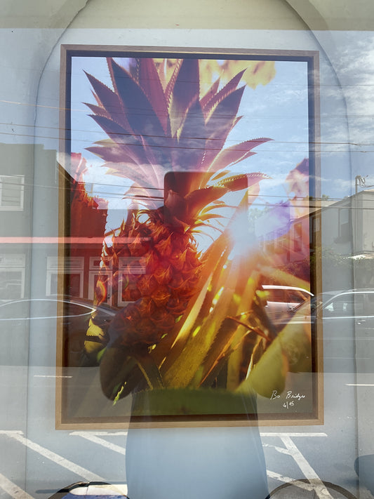 18”x 26” Framed Dibond
