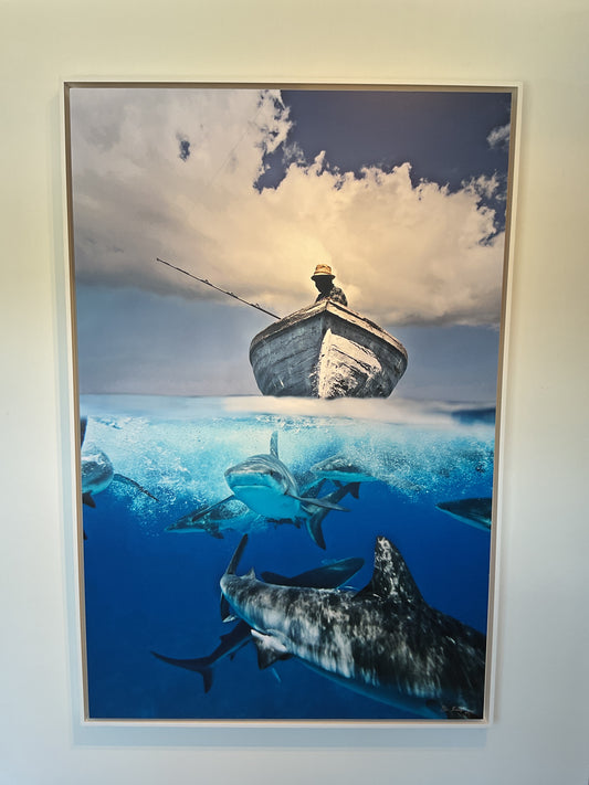 40”x 60” Framed Dibond