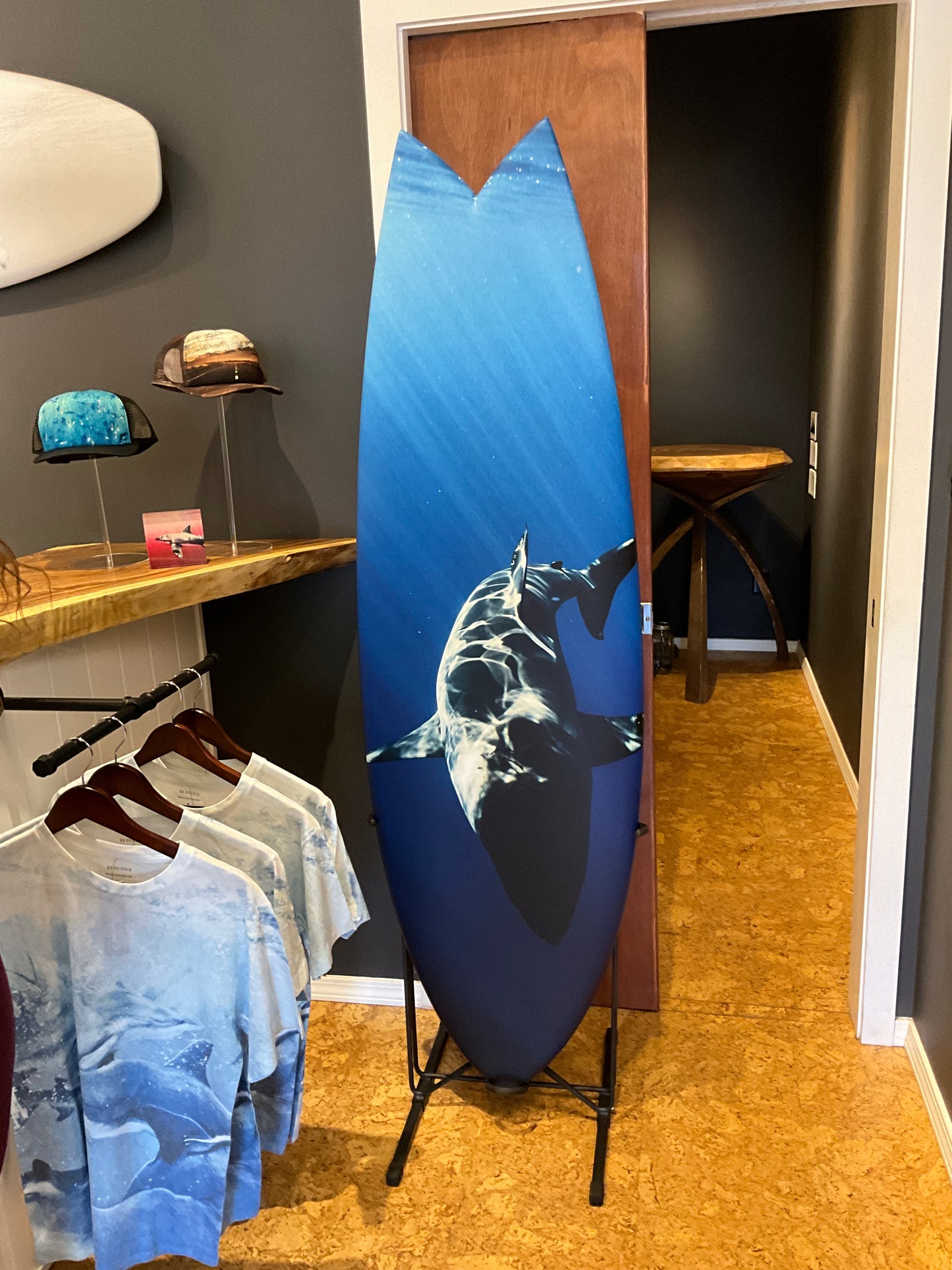 Surfboard Shark (5’8” Fish)
